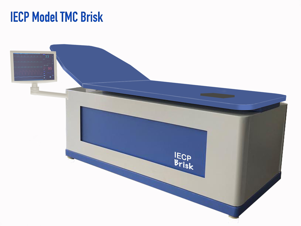 /IECP%20Model%20TMC%20-%20Brisk
